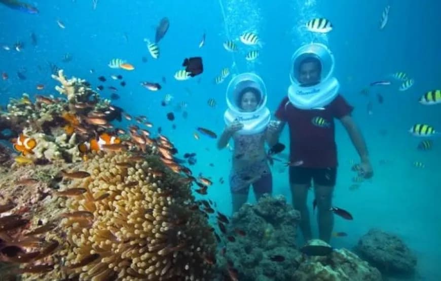 Coral Island Pattaya Speedboat Tour with Scuba Diving – Full-Day Adventure